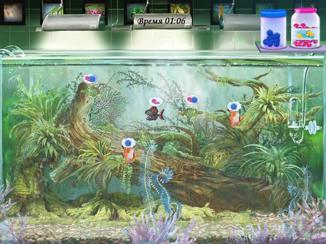 Экспедиция в амазонию