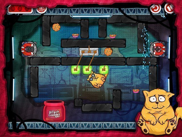 Кот на диете