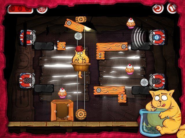 Кот на диете