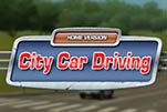 City Car Driving 2016