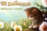 101 любимчик